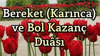 Bereket Duası  Karınca Duası  Bol Rızık Duası  Amin [upl. by Faustus535]