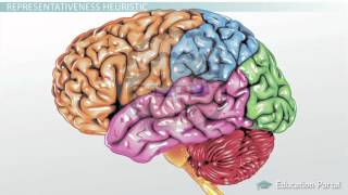 Types of Heuristics Availability Representativeness amp Base [upl. by Bonneau]