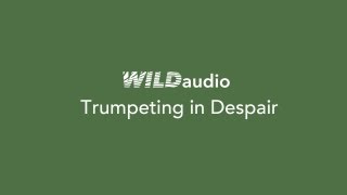 WILDaudio Trumpeting in Despair [upl. by Narrad]