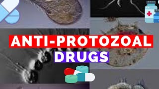 Antiprotozoal Drugs  Metronidazole Bactrim Suramin Pentamidine Eflornithine Fansidar [upl. by Attelliw195]