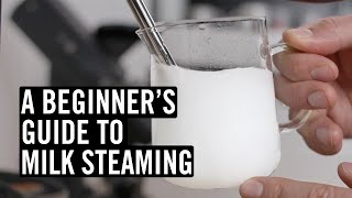 Everything You Need To Know To Steam Great Milk [upl. by Tyson]