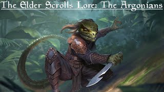 The Elder Scrolls Lore The Argonians [upl. by Werdn]