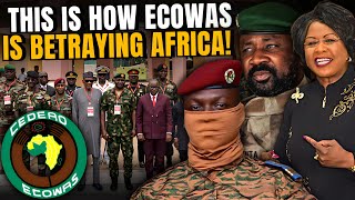 Dr Arikana Has Exposes ECOWAS As Its Puppet France [upl. by Howarth]