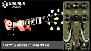 Walrus Audio Ages FiveState Overdrive [upl. by Grannia]