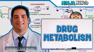 Pharmacokinetics  Drug Metabolism [upl. by Lankton515]