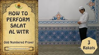 How to perform The Three Rakat Salat alWitr Odd Numbered Prayer [upl. by Bonnes580]