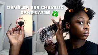 DÉMELER SES CHEVEUX CRÉPUS 4C FACILEMENT SANS CASSE [upl. by Slaughter237]