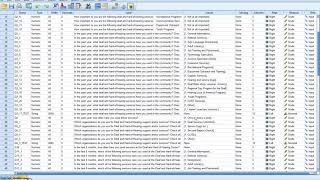 Interval Data Likert Scale Analysis [upl. by Marci605]