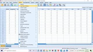 SPSS  ANALISIS DESKRIPTIF UNTUK DESKRIPSI VARIABEL HASIL KUESIONER [upl. by Beebe]