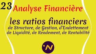 23 Analyse financière les ratios financiers [upl. by Almeria662]