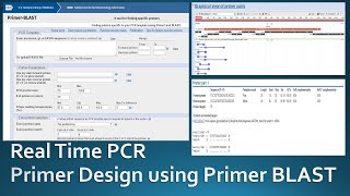 Primer designing for real time PCR using NCBI Primer Blast [upl. by Thissa660]