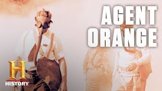 What Is Agent Orange  History [upl. by Menashem949]