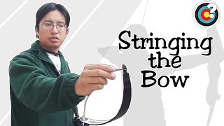 Archery  How to String a Bow [upl. by Valtin]