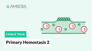 Primary Hemostasis  Part 2 Platelet Activation [upl. by Omsoc]