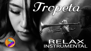 TROMPETA RELAX INSTRUMENTAL🎺🎺 [upl. by Fabiolas]