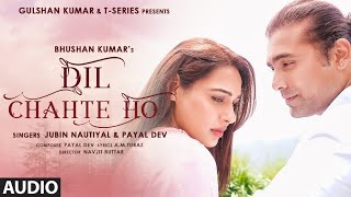 Dil Chahte Ho AUDIO Jubin Nautiyal Mandy Takhar  Payal Dev AM Turaz Navjit B  Bhushan Kumar [upl. by Meade]