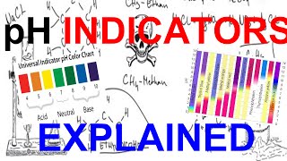 pH Indicators Explained [upl. by Idahs431]