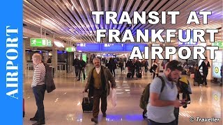 TRANSIT WALK AT FRANKFURT Airport FRA Terminal 1  Connection Flight Transfer Arriving amp Departing [upl. by Sadick]