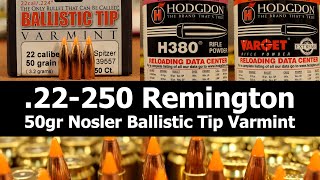 22250 Rem  50gr Nosler BT with Varget amp H380 [upl. by Balas222]