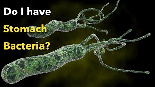 How to Eliminate Helicobacter Pylori  100 Natural Treatment to Cure H Pylori Bacteria [upl. by Georgena720]