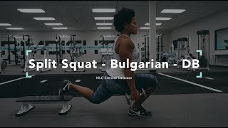 Split Squat  Bulgarian DB  KILO Exercise Database [upl. by Malvin915]