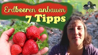 7 Tipps fürs 🍓 Erdbeeren anbauen [upl. by Deth]